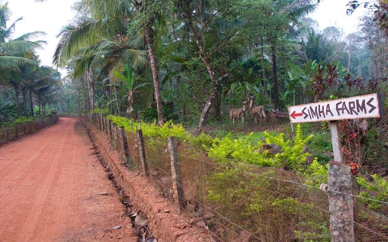 Simha Farms, Shimoga 4